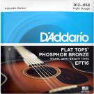 D'Addario EFT16 Phosphor Bronze Flat Tops (012-053) thumbnail