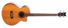 Morgan AB 570 Akustisk Bass SCE SSEB N AR thumbnail